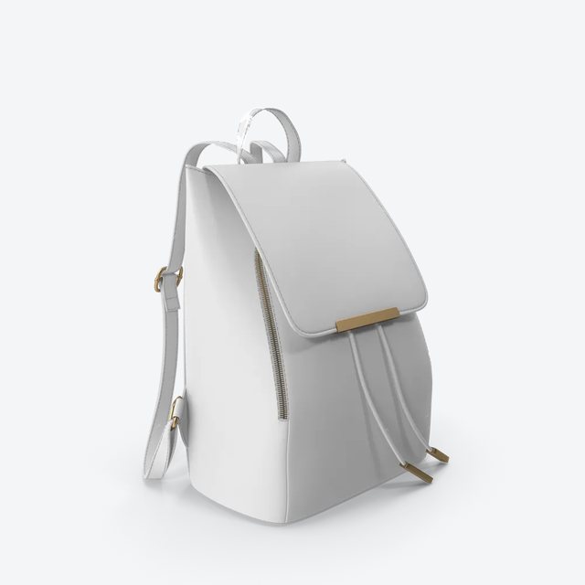 Premium Backpack (Wholesale Box)