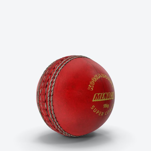 Pro Cricket Ball