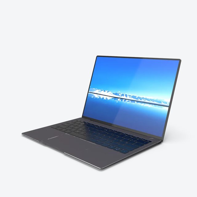 Classic Laptop (Pack of 2)