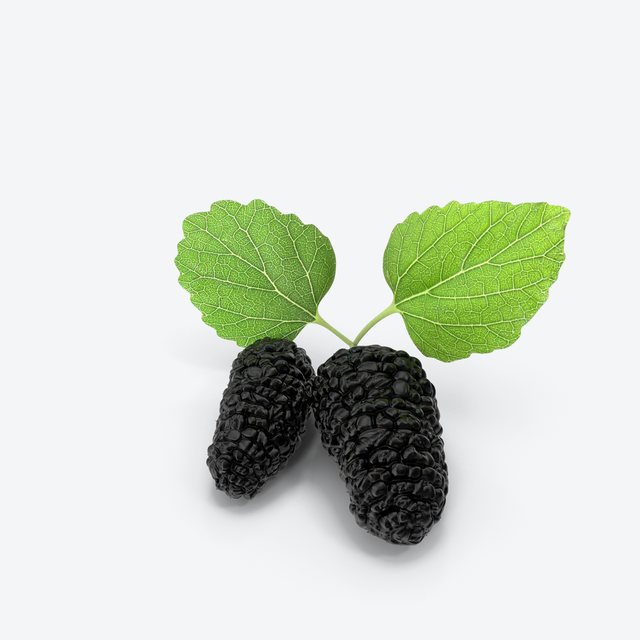Premium Mulberries (Box of 12)