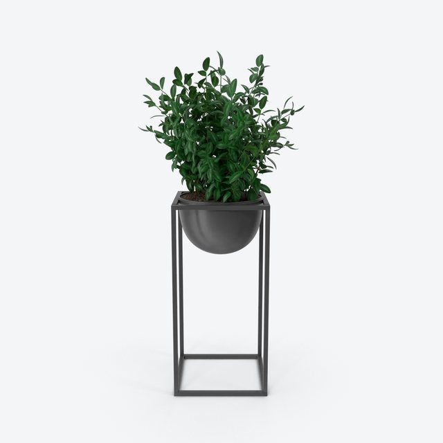 Premium Plant Pot (Pack of 6)