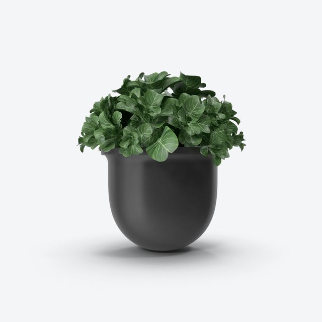 Modern Plant Pot